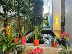 Hock Seng Park (D21), Detached #576159861